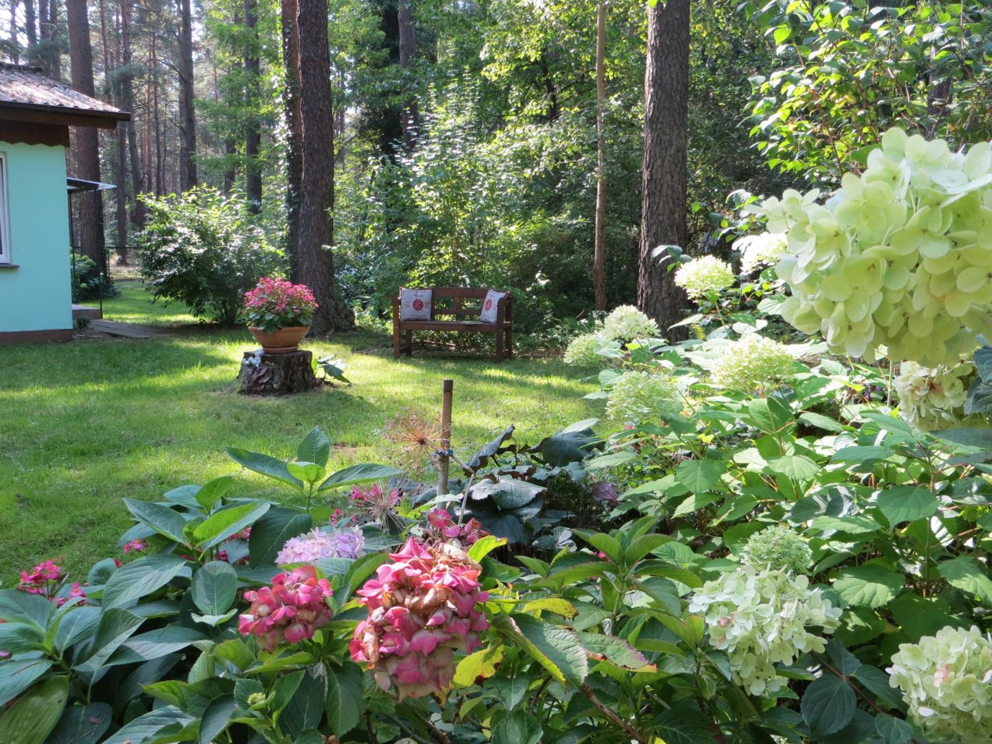 Kastavengrund - Ferienhaeuser Mit Kamin リヘン エクステリア 写真