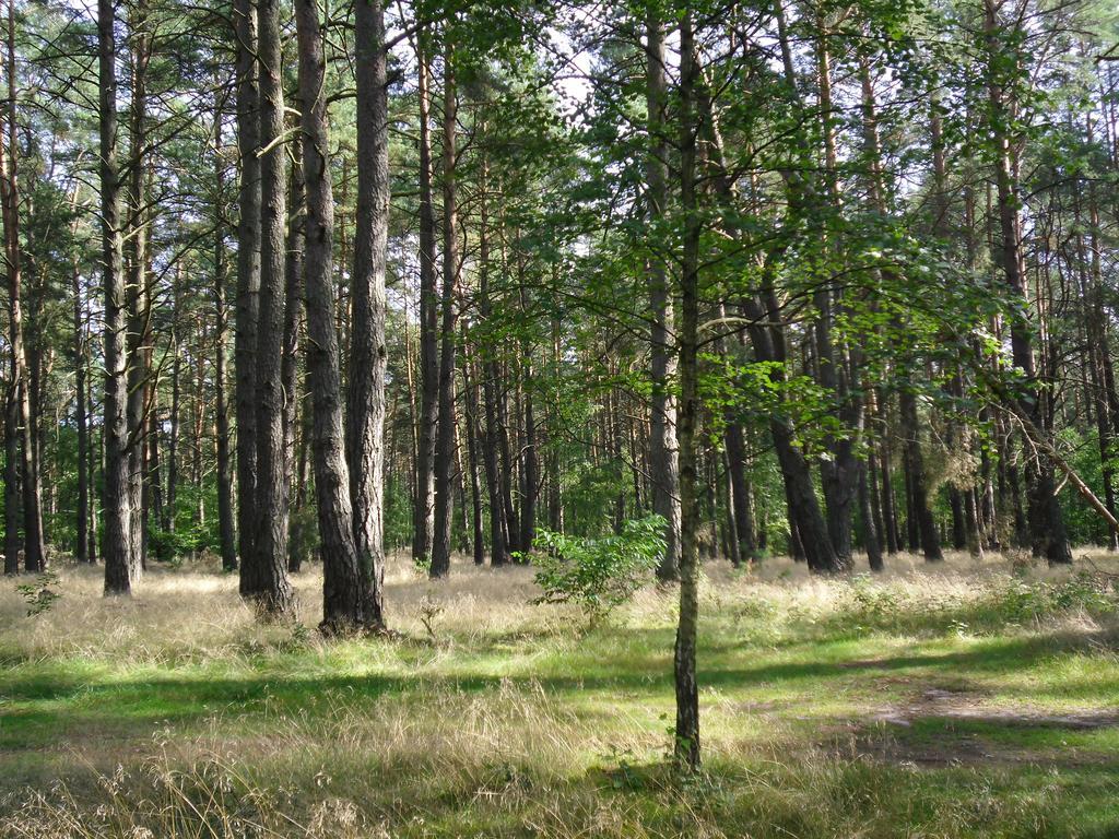 Kastavengrund - Ferienhaeuser Mit Kamin リヘン エクステリア 写真